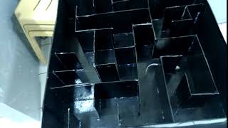 Experimental Psychology (Rat Experiment) Positive and Negative Conditioning