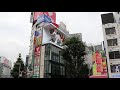 新宿東口に巨大猫が登場！
