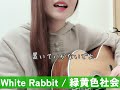 【cover】White Rabbit / 緑黄色社会