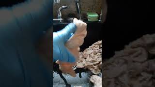 "Cooking Aunt Bessie Pre Cleaned Chitterlings"!