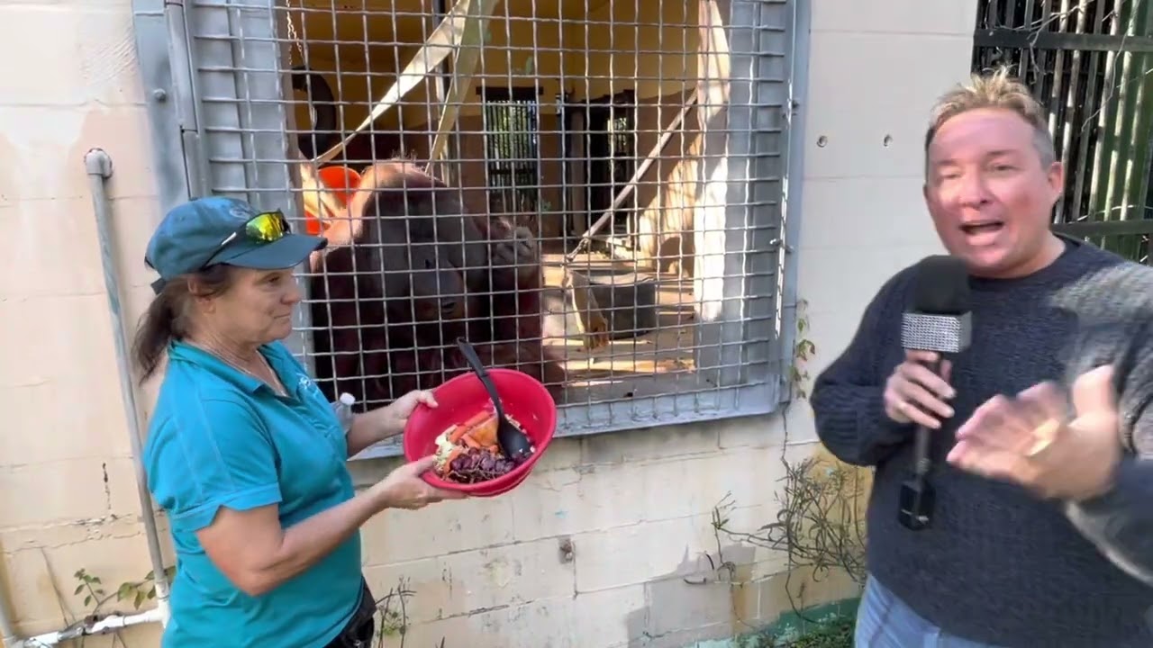 Out And About Palm Harbor at Suncoast Primate Sanctuary