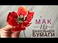 МАК из ВАФЕЛЬНОЙ БУМАГИ. МК пошагово