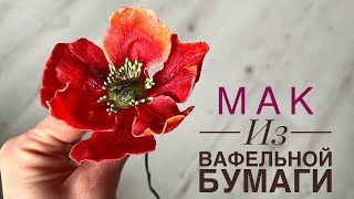 МАК из ВАФЕЛЬНОЙ БУМАГИ. МК пошагово