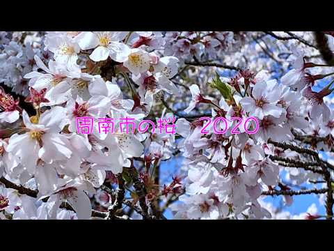 ばくさい ハッピーメール 周南