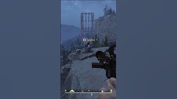 When You See a Mothman For The First Time