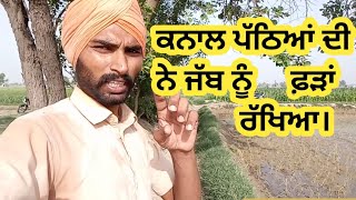 ⁣ਕਨਾਲ ਪੱਠਿਆਂ ਦੀ ਭਰਨ ਪਿੱਛੇ ਅੱਧੇ ਪਿੰਡ ਦੇ ਨੱਕੇ ਬੰਨਨੇ ਪਏ। pure pandu life punjabi life |Vlog #109