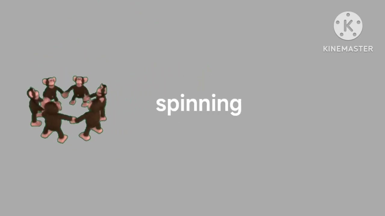 meat spinning monkey