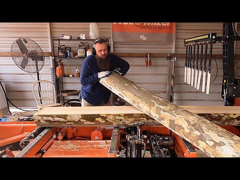 This Log Might
