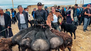 Узбекистан! Дешевый Базар! Уличная Еда! Зачем Мне Петух?! Скотный И Птичий Базар!