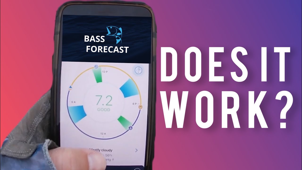 Testing out the BassForecast App!