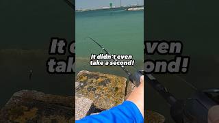 🔥Insane Saltwater Bite in Port Aransas!🔥