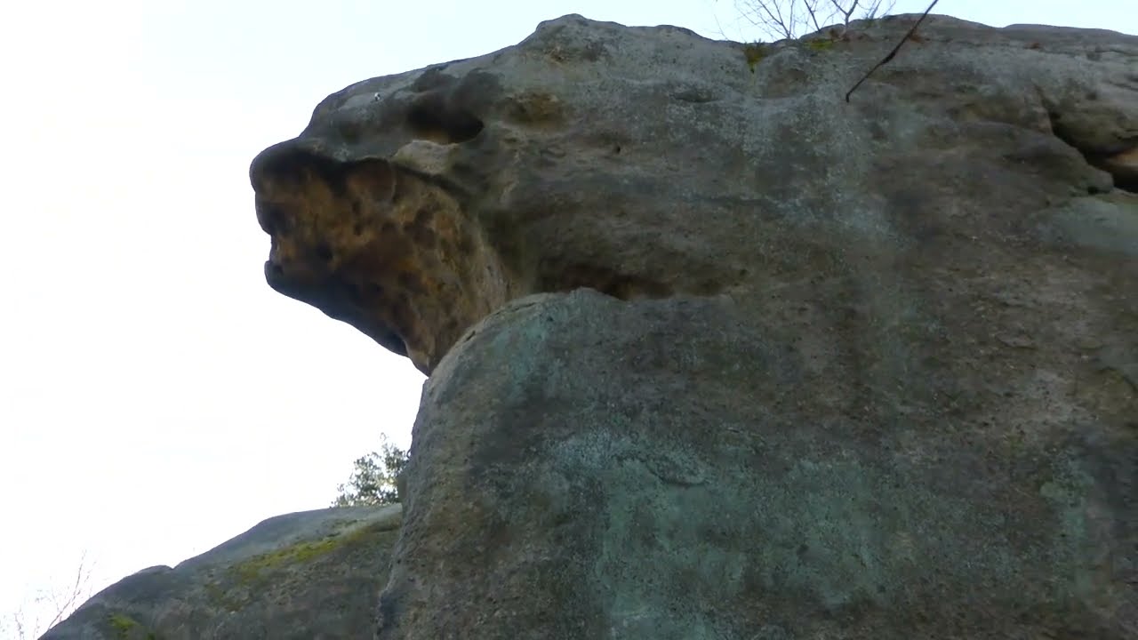Skály Medůvky (nedaleko přehrady Bystřička).