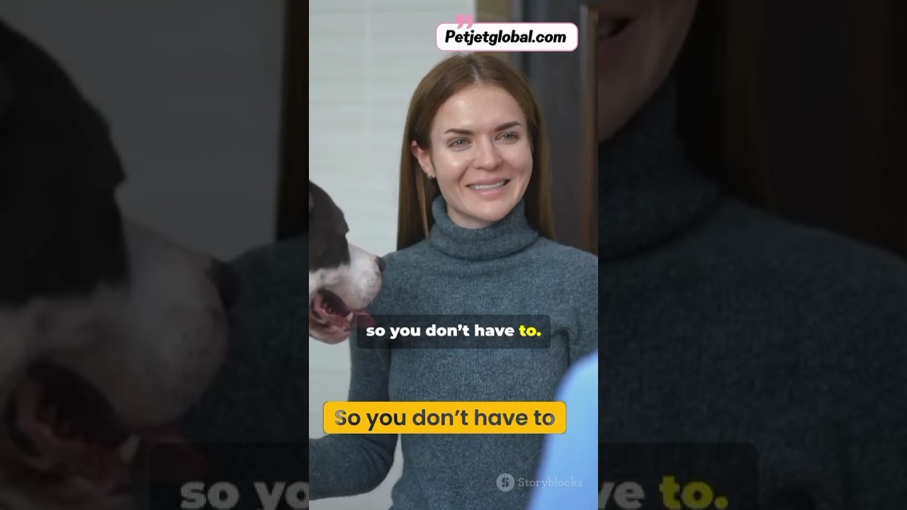 PetJetGlobal - Pet Travels To India 