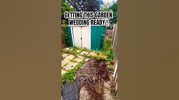 WEDDING READY FOR THIS GARDEN #garden #gardening #landscape #gardenrenovation #fypシ #viral #shorts