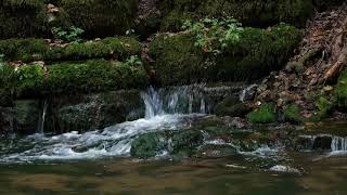 Rhythm of river I Beautiful sound of river I Water Stream & Birdsong Sounds-Sleep I Study I Meditate