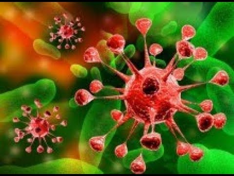 CAUSAS Y PREVENCIÓN DEL CÁNCER entretenimiento en puerto rico