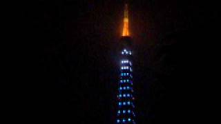 DSCF5757_東京タワー_ワールドカップ・カメルーン戦サムライブルー.AVI