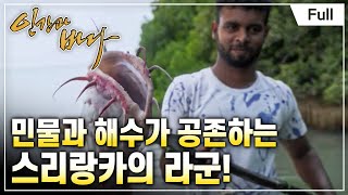 [Full] 인간과 바다  신비의 바다, 스리랑카 라군