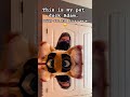 This is my pet duck Adam #christianfurry #morwenator #furries #cosplay #fursona