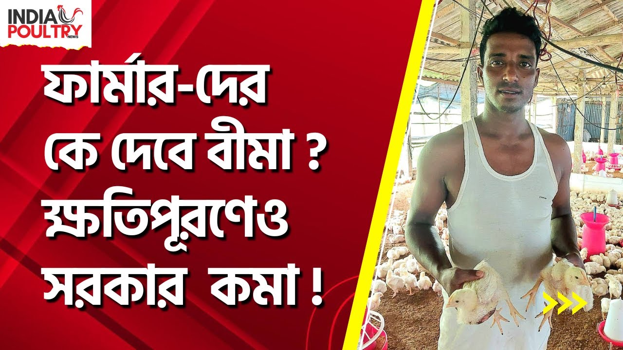 ফার্মার দের কে দেবে বীমা? ক্ষতিপূরণেও সরকার কমা | India Poultry News | Poultry farm Insurance