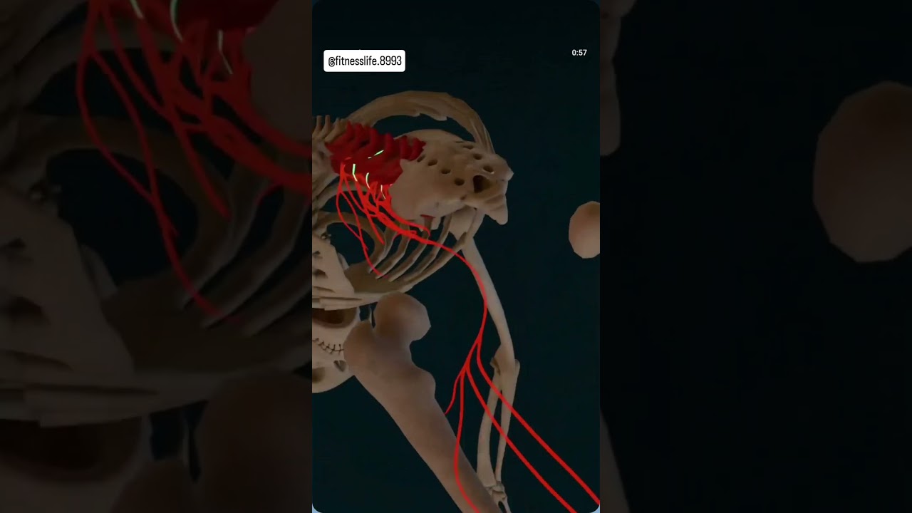 🤔6 Pack Abs Workout at 📸 Home | No🤔 Equipment | 🤔 Fitness Life | Get Six Pack Fast 