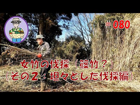 背の高い女竹（篠竹？）を坦々と少しずつ伐採する 第80話