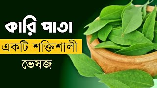 কারি পাতার শক্তিশালী উপকারিতা | Powerful Benefits of Curry Leaves For Weight Loss & Hair Growth screenshot 4