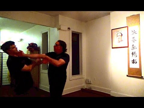 Moy Tung Kung Fu Hands Footwork Kicks & Takedowns