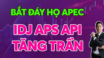 Bắt đáy họ APEC IDJ APS API tăng trần Hồi được đến đâu? Có nên mua nữa không?