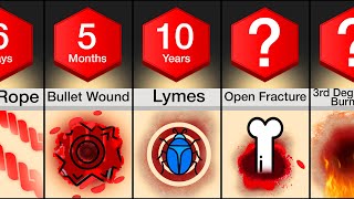 Comparison: Fastest Healing Wounds (Part 2)