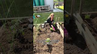 Part 2! Plant a garden with me june zone 8b #gardening #pnw #vegetablegarden #vibes