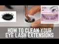 How to clean your Lashify, Kiss Falscara or any under eye lash extenstions | Seebiedeebie