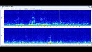 Humpback whale social sounds | Making Africa Heard Sound Library @seasearchresearchconservat1843
