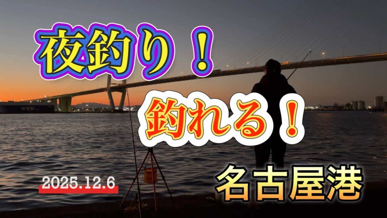 【名古屋港】夜釣り！釣れる！