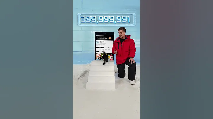 Can I Teach a Penguin to Subscribe #subscribe #mrbeast