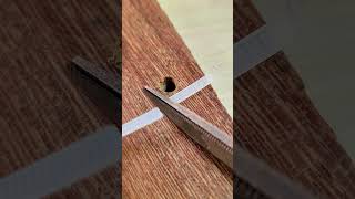 Quick Repair for a Stripped Screw Hole Using a Zip Tie