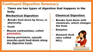 Summer Science, Week 2 Lesson 3: Continued Digestion/Final Digestion and Absorption