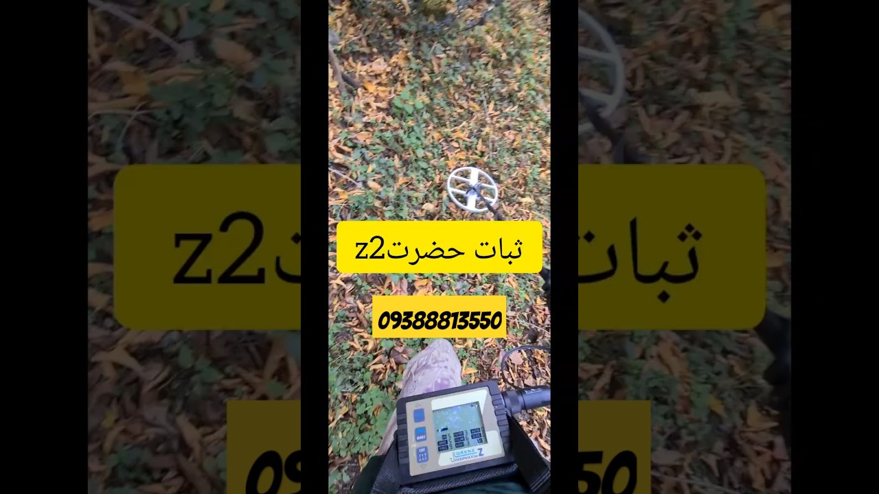 lorenz z2 تست ثبات