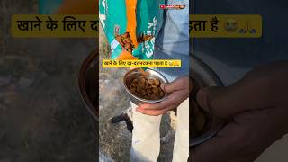 They Were Begging For Food… I Couldn’t Ignore 😢