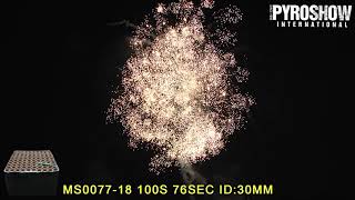 08 MS0077 18 100 Shots