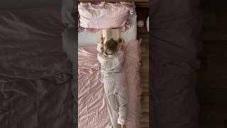 Download Lagu This Private Jet Upgrade Costs More Than the Jet Engine #shorts MP3