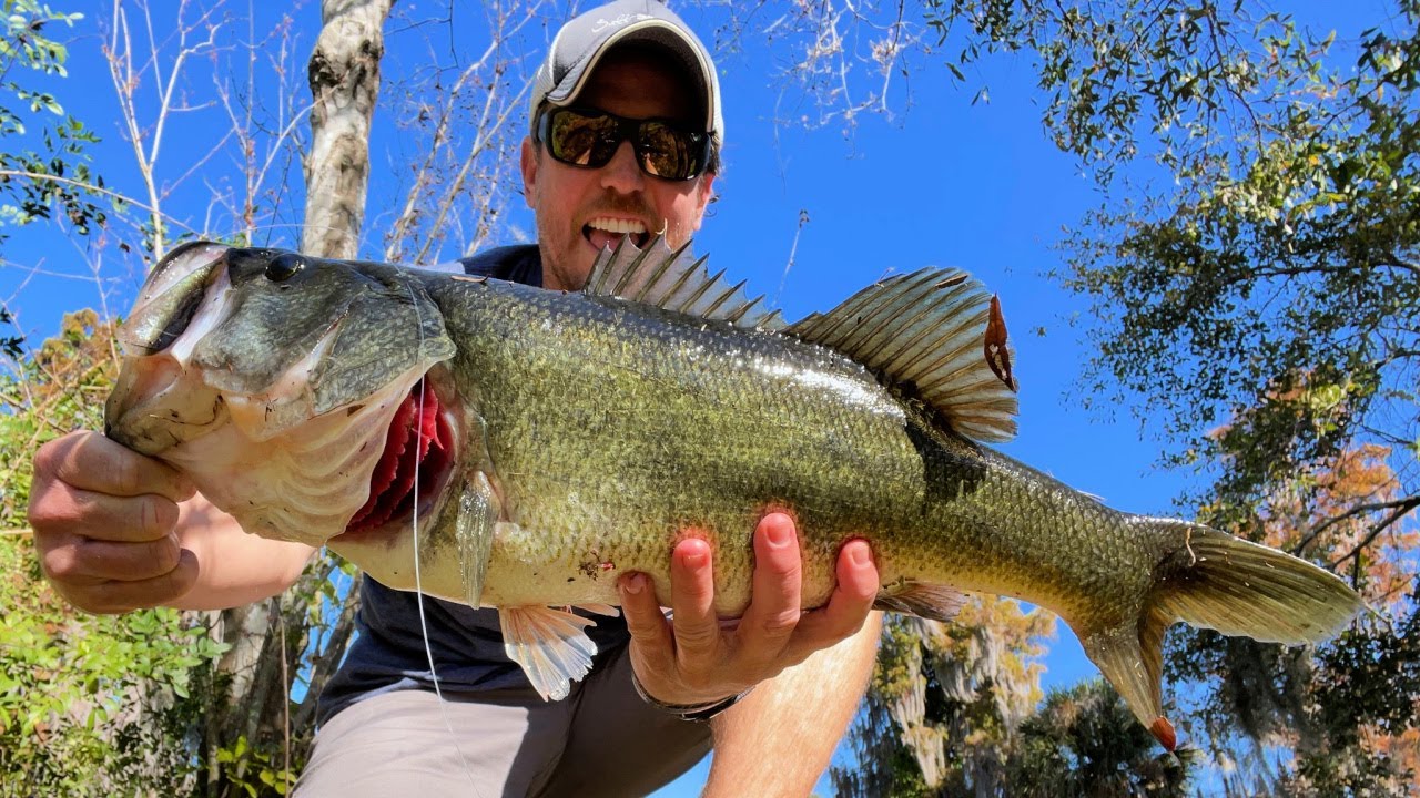 Aggressive Bass destroy the baits!!, BASS / PIKE FISHING