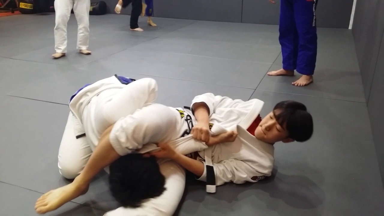 목동 타운짐 흰띠 주짓수 스파링 영상 White belt jiu jitsu rolling beginner jiu