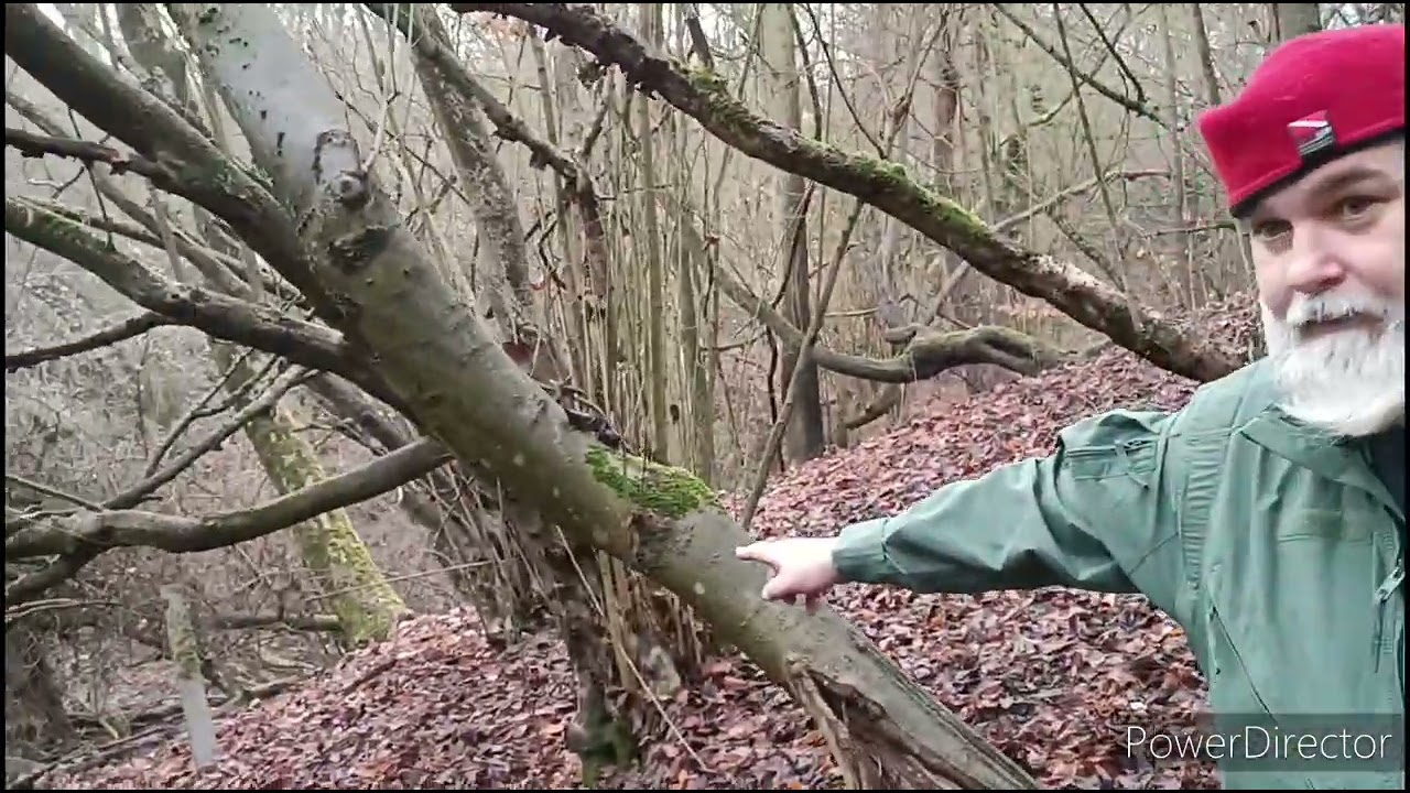 🇵🇱Szczecińskie wzgórza pełne tajemnic 🧐