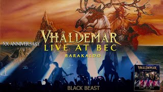 Watch Vhaldemar Black Beast video
