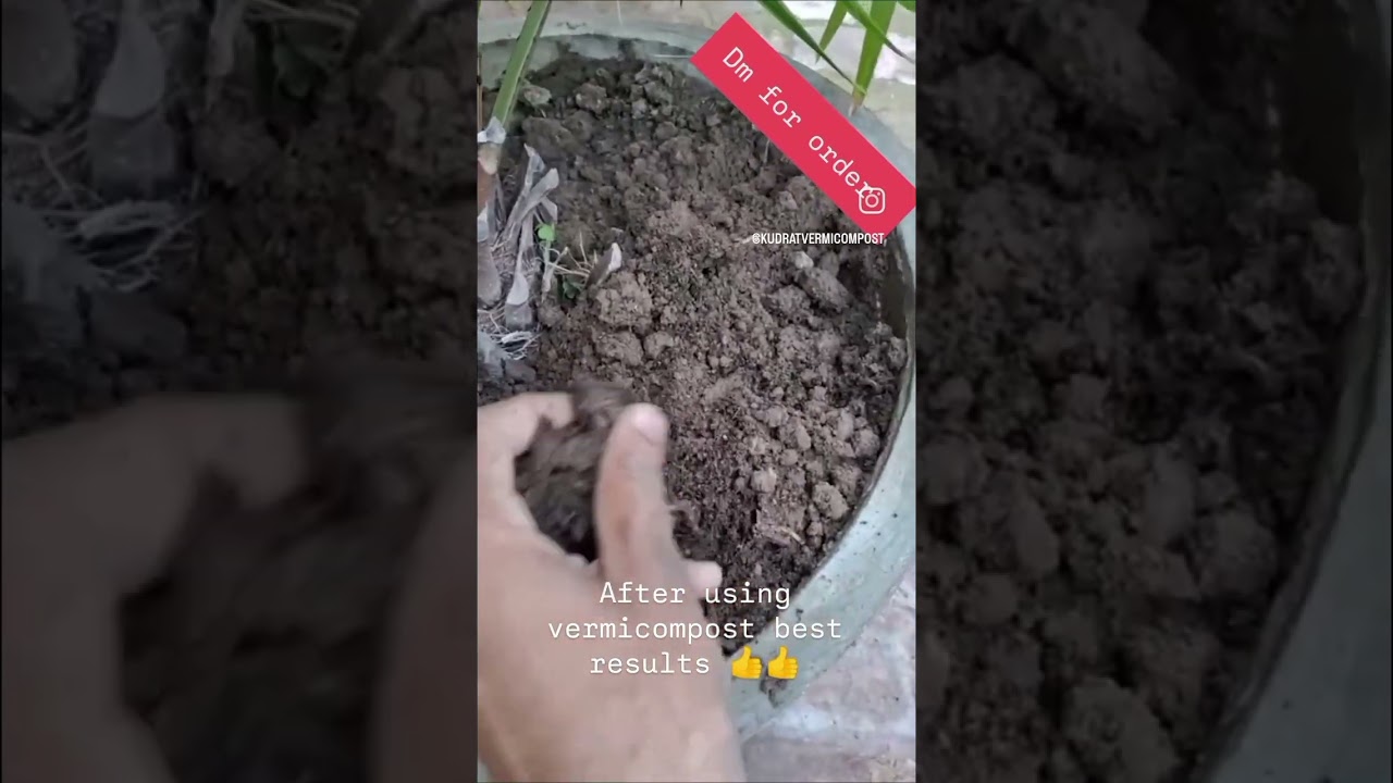#vermicomposting