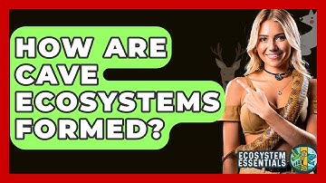 How Are Cave Ecosystems Formed? - Ecosystem Essentials