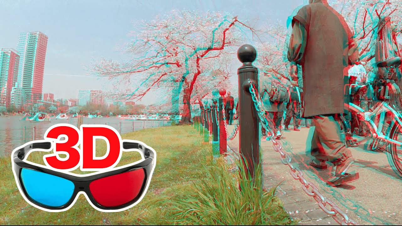 3D-видео - Просмотр цветущей сакуры в Уэно ТОКИО / для красно-голубого анаглифа