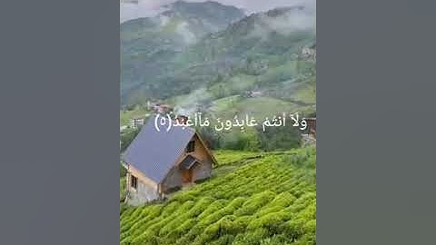 سورة الكافرون بصوت تريح القلب بصوت شريف مصطفي