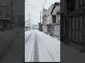 Invierno en Niigata: el Japón que casi nadie ve